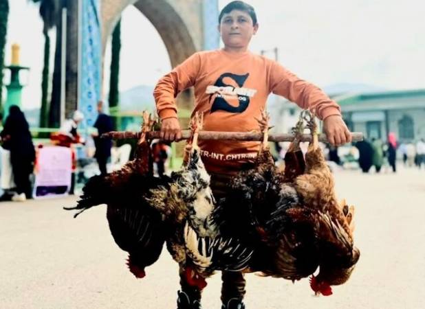 عرضه کالاهای اساسی ۲۵ درصد ارزان‌تر از نرخ بازار در ۲۲ روستابازار مازندران