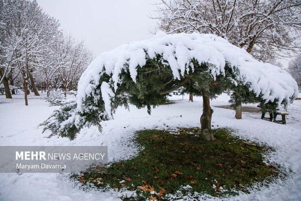 بارش برف در ارتفاعات استان سمنان؛ جاده‌های لغزنده می‌شود