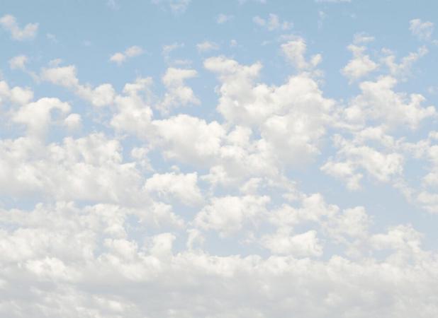 رنگ سال ۲۰۲۶ اعلام شد