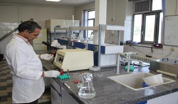 ماکو نیازمند ایجاد آزمایشگاه تخصصی دامپزشکی است