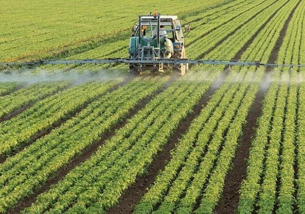 تولید گندم در استان اردبیل ۵۰ درصد افزایش یافته است