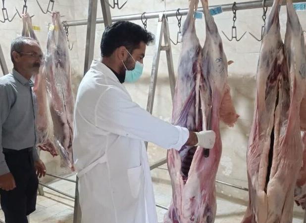 ۳۶ گروه نظارتی روز عید قربان ناظر ذبح دام در استان مرکزی هستند
