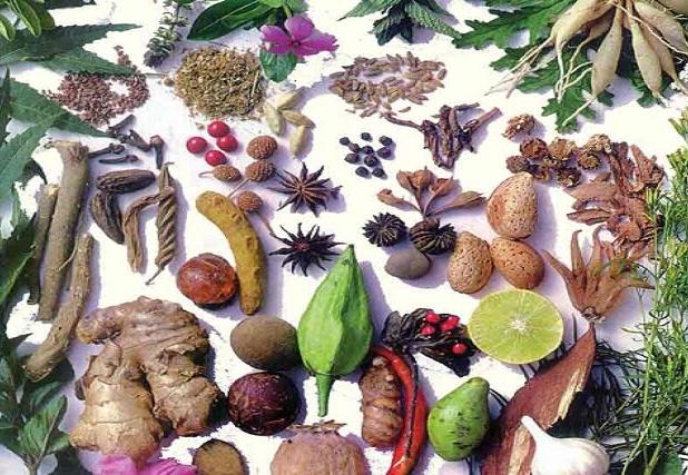 گیاهان دارویی که قاتل چربی خون بالا هستند