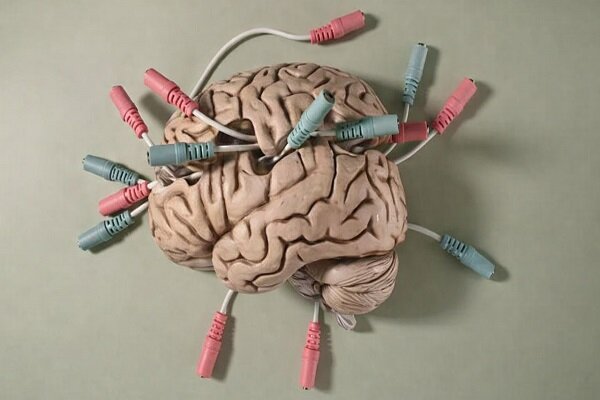 شنیدن صدای دوپامین در مغز زنده