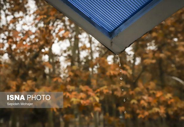 آسمان پرتلاطم یزد؛ از بارش باران تا وزش باد شدید