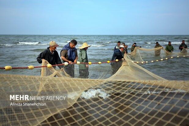 فصل صید ماهی در رودسر
