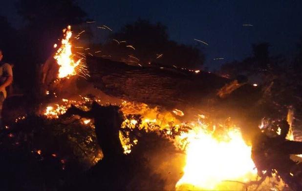 آتش سوزی یک ساختمان مسکونی در جنوب غرب تهران؛۴عضو خانواده جان باختند