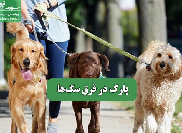 پارک در قرق سگ‌ها