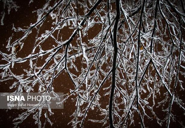 هشدار زرد هواشناسی درباره یخبندان در البرز