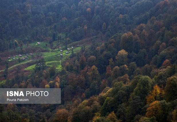 لزوم همکاری نزدیک با فراجا برای مبارزه با سوداگران طبیعت