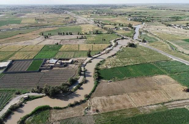 اخلاصی: ۱۰ هزار هکتار اراضی کشاورزی مرکزی به حوزه صنعت واگذار شد