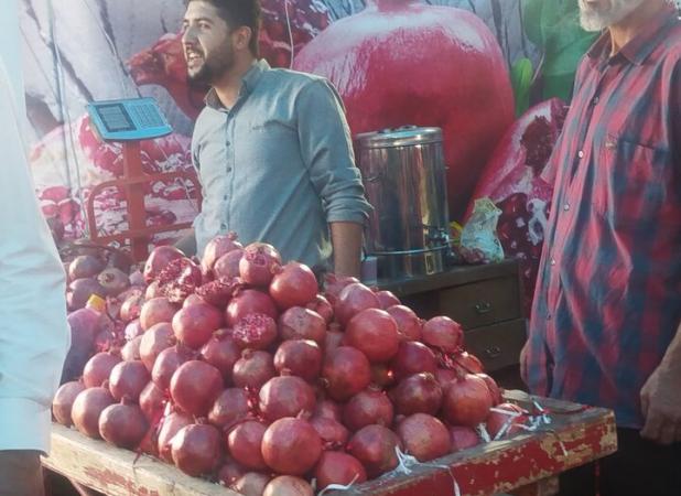 برگزاری آیین چهارمین دوره جشنواره ملی انار ساوه و اقوام ایرانی