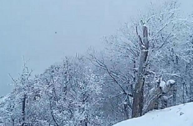 بارش سنگین برف در محور جواهرده رامسر