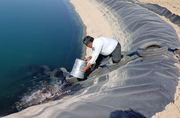 ۷۰۰ هزار قطعه بچه ماهی در ساری رهاسازی شد