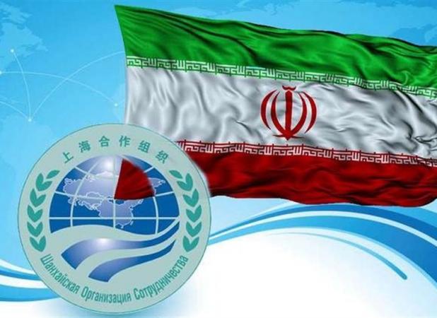 سازمان همکاری اسلامی تجاوزارت اسرائیل را بشدت محکوم کرد