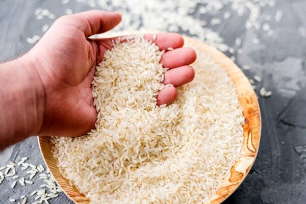 لزوم رعایت نرخ مصوب برنج در همدان؛فروش بالاتر از قیمت قانونی ممنوع است