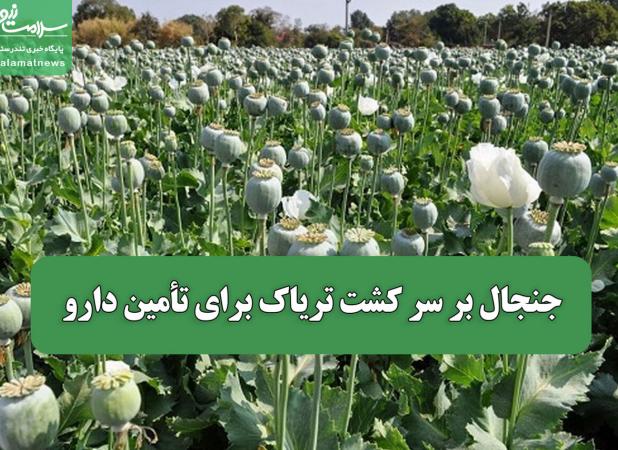 جنجال بر سر کشت تریاک برای تأمین دارو