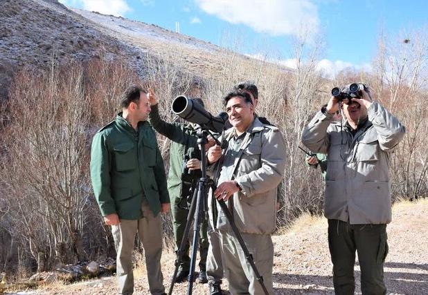 آغاز سرشماری زمستانه پستانداران در زیستگاه‌های اردبیل