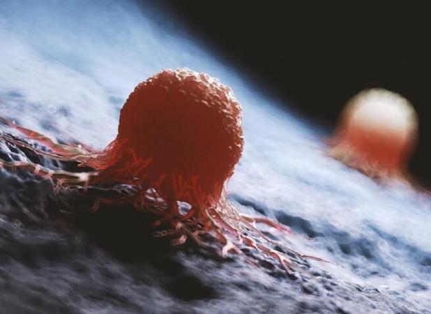 انقلاب در درمان سرطان: هوش مصنوعی راز ۱۰۰ ساله را کشف کرد