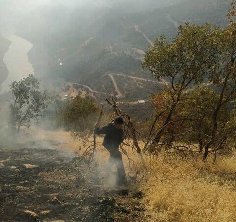 مهار ۶ مورد آتش‌سوزی طی پنج روز گذشته در زیستگاه‌های سروآباد