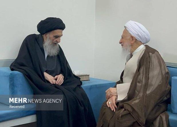 آیت الله جوادی آملی با آیت‌ الله  سیستانی در نجف اشرف دیدار کرد
