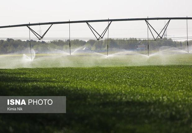 عضو کمیسیون کشاورزی مجلس: تنها ۲۴ درصد اراضی کشاورزی لرستان آبی است