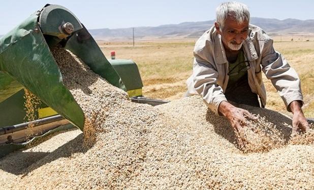 جزئیات سواپ محصولات کشاورزی ایران و قزاقستان