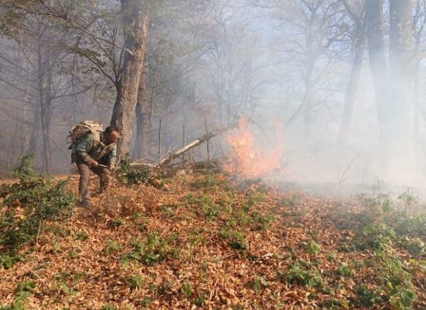 آماده‌باش تمامی نیروها برای مهار آتش‌سوزی جنگل‌ها در گلستان