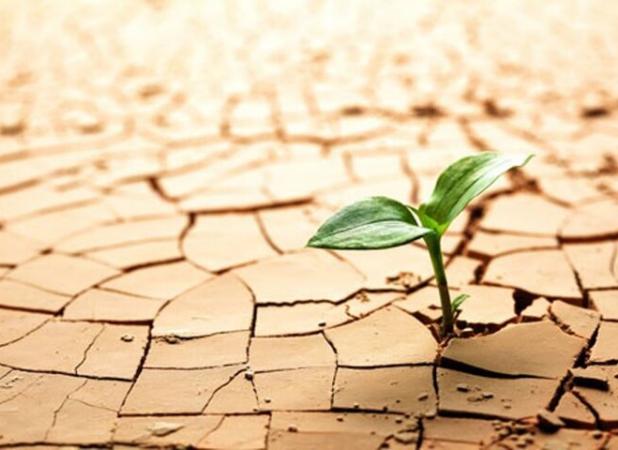 ۱۹کانون بحرانی فرسایش بادی استان سمنان تهدیدی برای زندگی ۱۳۲هزار نفر