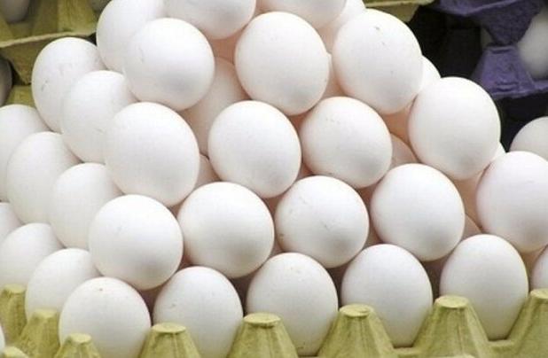 آذربایجان شرقی، قطب تولید تخم‌مرغ کشور با سهم ۱۰ درصدی از تولید ملی