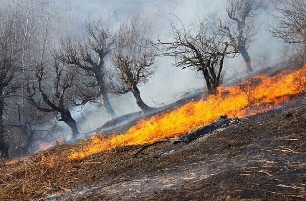 آتش سوزی در ۱۰ هکتار از مراتع روستای گاومیشان بوکان