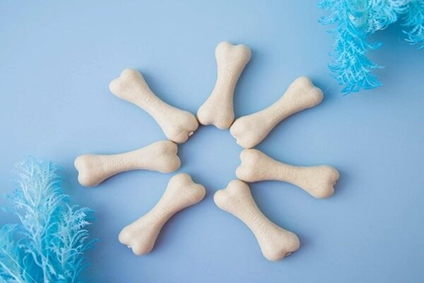 اجرای برنامه ملی کنترل پوکی استخوان در ۵ دانشگاه علوم پزشکی کشور