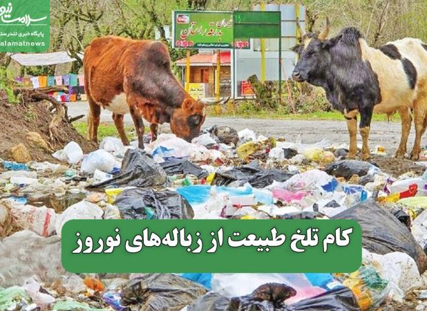 کام تلخ طبیعت از زباله‌های نوروز