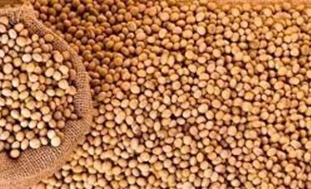 سود بازرگانی کنجاله سویا یک درصد تعیین شد