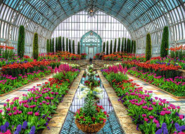 آیین افتتاحیه هشتمین دوره بزرگ‌ترین فرش گل آسیا در شهرستان محلات