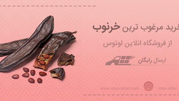 خرید خرنوب از عطاری آنلاین 