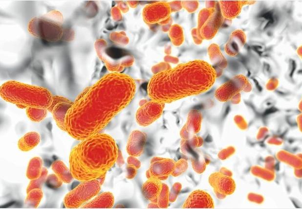 «مقاومت میکروبی» چگونه مرگبار می‌شود؟