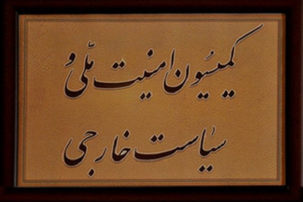 وزارت خارجه و سازمان انرژی اتمی به قانون مجلس پایبند باشند