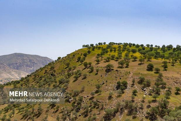 نقش مردم در برنامه استراتژیک منابع طبیعی باید مشخص شود