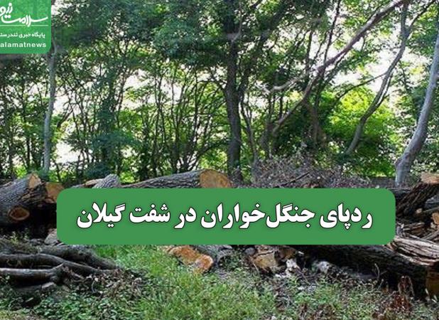 ردپای جنگل‌خواران در شفت گیلان