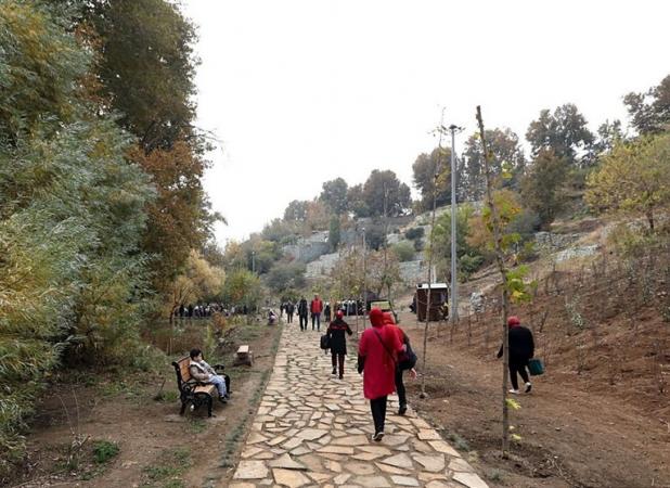 تأکید بربهره‌برداری شهرداری ازظرفیت روددره فرحزاد در تابستان