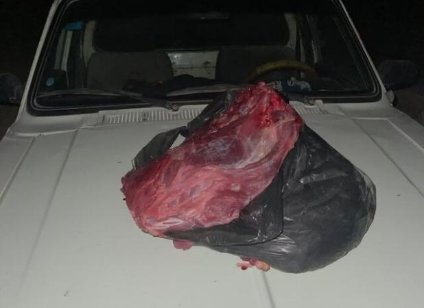 شکارچی گراز در کازرون دستگیر شد