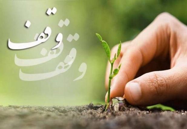پویش وقف درخت در رفسنجان آغاز شد