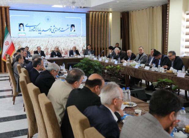 پزشکیان: بهترین روش آموزش دانشجویان کشاورزی حضور در مزارع است