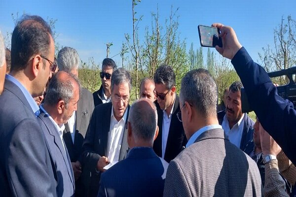 دولت به جبران خسارات بخش کشاورزی آذربایجان غربی کمک کند
