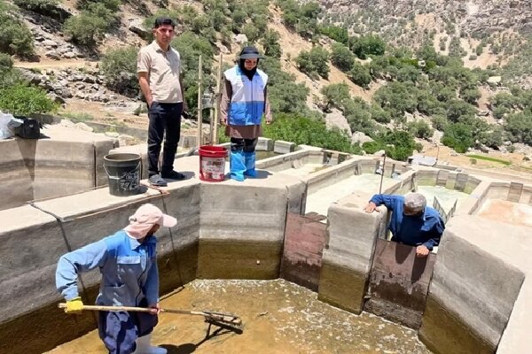 معدوم سازی دو کانون بیماری ویروسی نکروز لوزالمعده در شهرستان مارگون