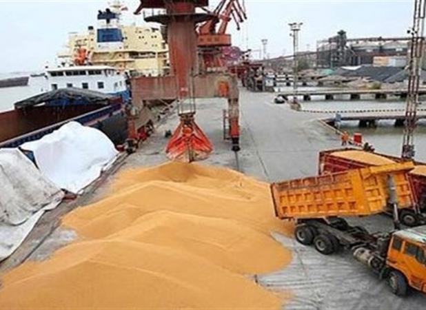  دریافت ارز حاصل از صادرات غلات فقط با «روبل»