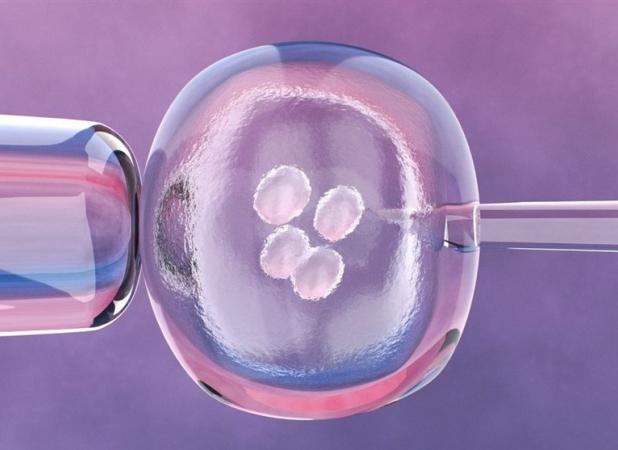 افزایش مقاومت جنین آزمایشگاهی؛ فناوری ایرانی برای درمان ناباروری