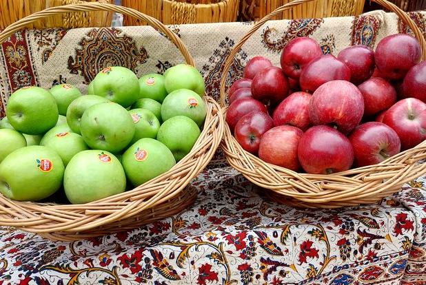 شهرستان دنا میزبان جشنواره سیب و انگور با حضور وزیر میراث فرهنگی