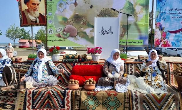 صادرات ماهانه یکهزار تن کیوی از مازندران به هند